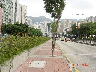 PHOTO CREDIT: Drainage Services Department - The side wall of Kai Tak Nullah (Choi Hung Road Section– after improvement works)