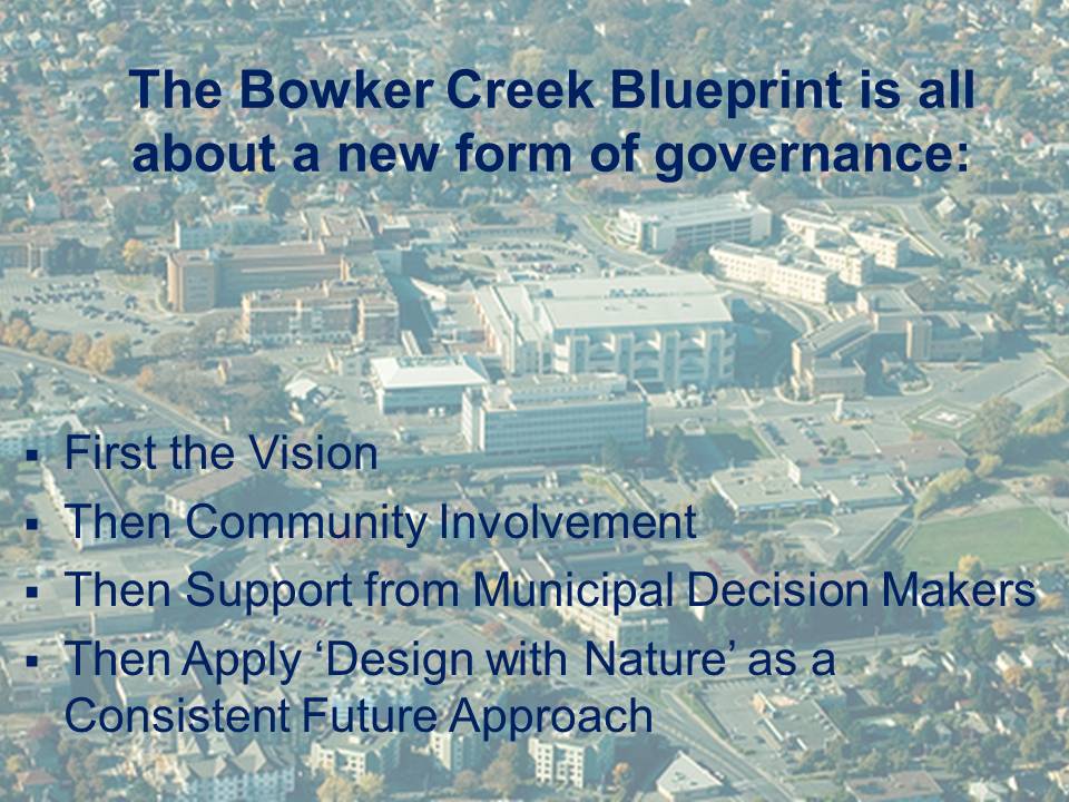 New-Form-Governance_Bowker-Blueprint