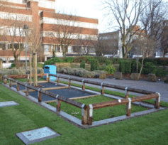 One of nine experimental plots in Manchester. Roland Ennos., Author provided