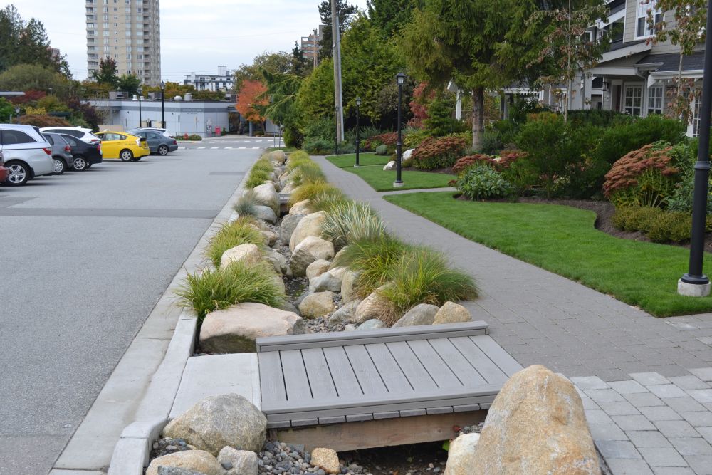 Boulevard rain garden integrated with site landscaping on Esquimalt Ave