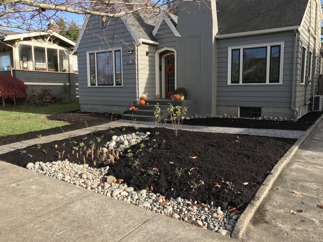 Rain gardens are an excellent form of stormwater management. Photo courtesy: Northwest Rain Solutions LLC, Whatcom County