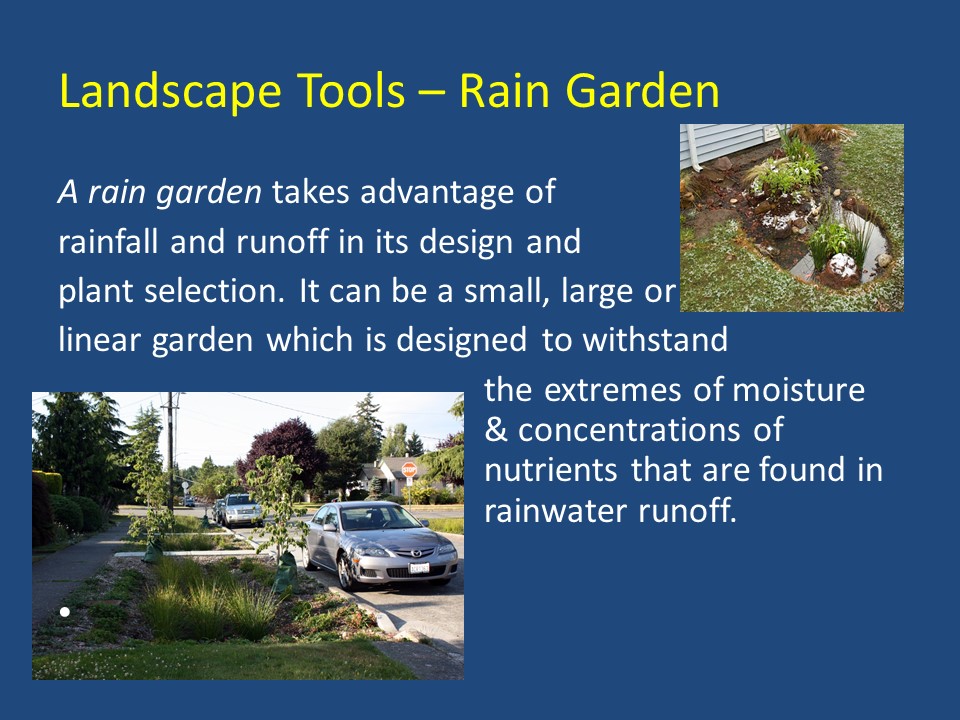 Comox-Valley_rain garden1