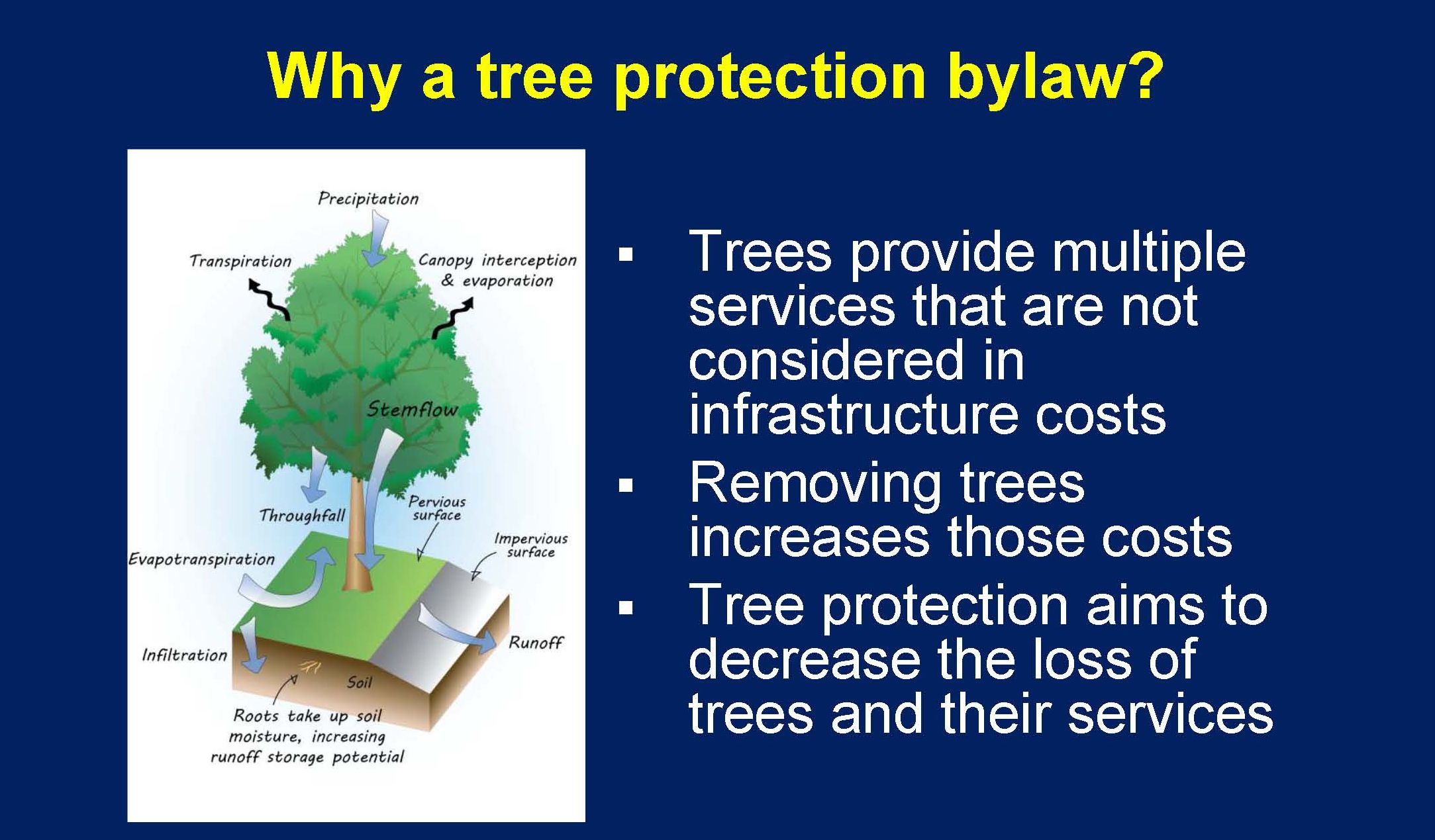 Comox-Valley_why tree bylaw