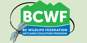 BCWF logo